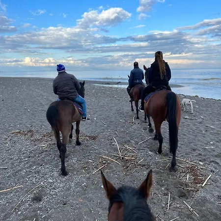 Daire Sea View 2 Bedroom Vacation *