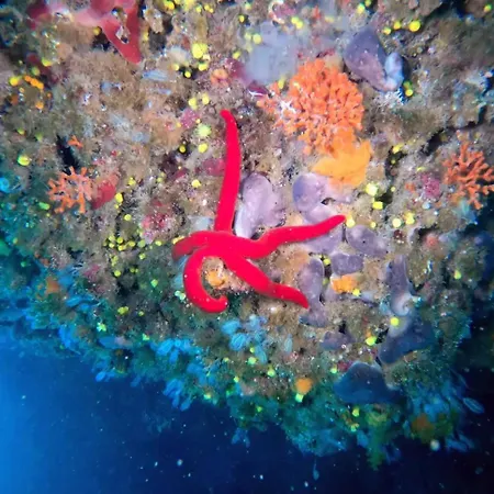 Sea View 2 Bedroom Vacation Apartman