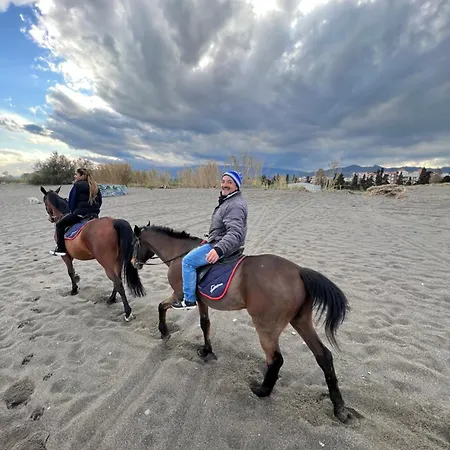 Sea View 2 Bedroom Vacation Daire Giardini Naxos