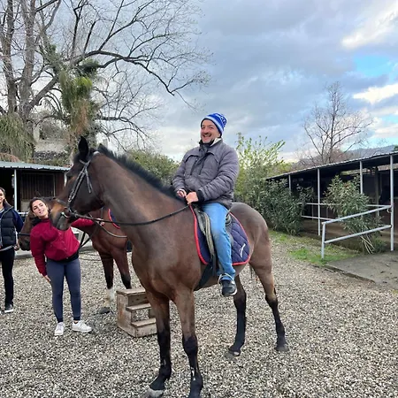 Sea View 2 Bedroom Vacation