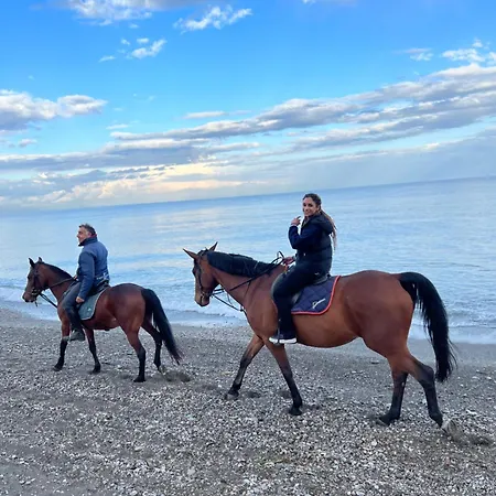 Daire Sea View 2 Bedroom Vacation