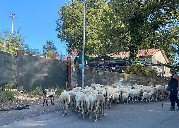 Sea View 2 Bedroom Vacation Apartment Giardini-Naxos