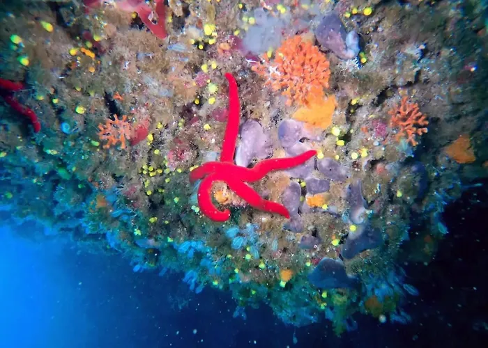 Sea View 2 Bedroom Vacation Appartamento