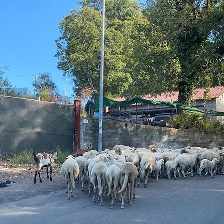 Sea View 2 Bedroom Vacation Apartment Giardini Naxos